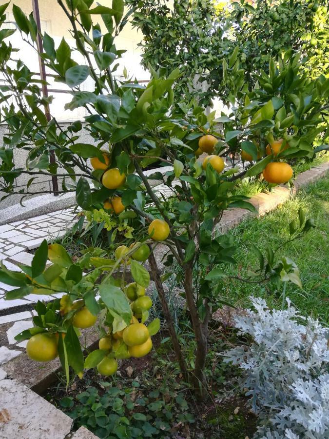Appartement G&g With Swimming Pool Pula